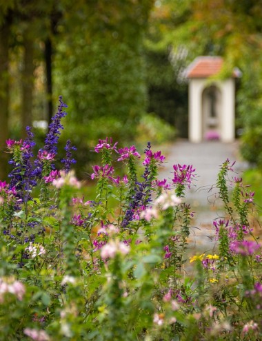 Amaliazorg Oirschot afbeelding 3